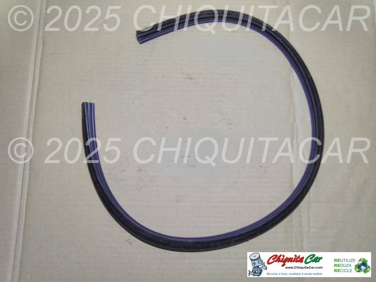 FRISO RASPADOR VIDRO FRENTE DTO INT SMART SMART (450)