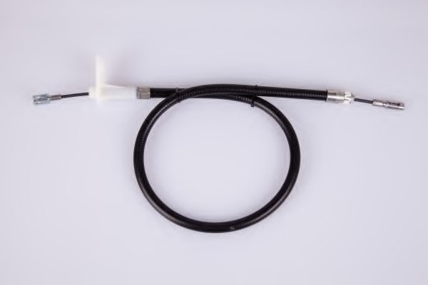 2024202785-2024202785-1 2024202785 1