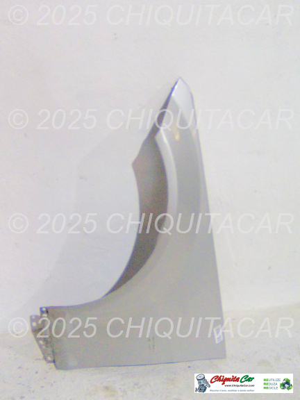 GUARDA LAMAS ESQ MERCEDES Classe C (204) 