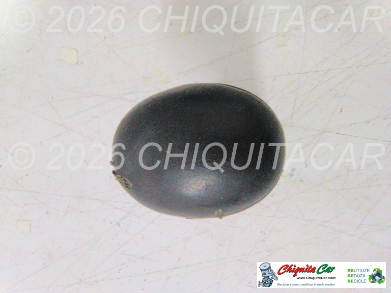 MANETE MUDANÇAS (punho) MERCEDES Classe S (220) 