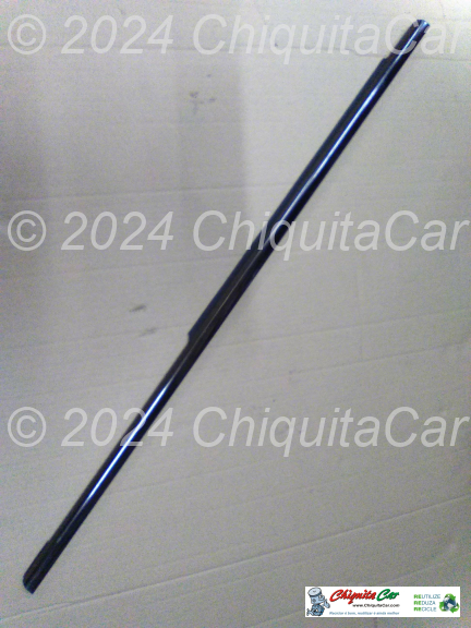 FRISO RASPADOR PORTA TRAS EXT DTO  0