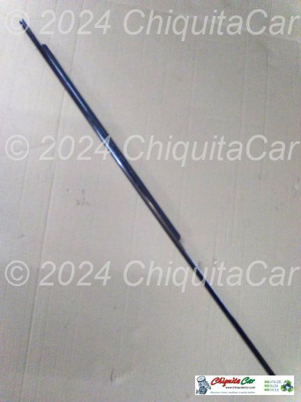 FRISO RASPADOR PORTA TRAS EXT ESQ  0