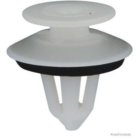 a0119887678-a0119887678-100 A0119887678 100